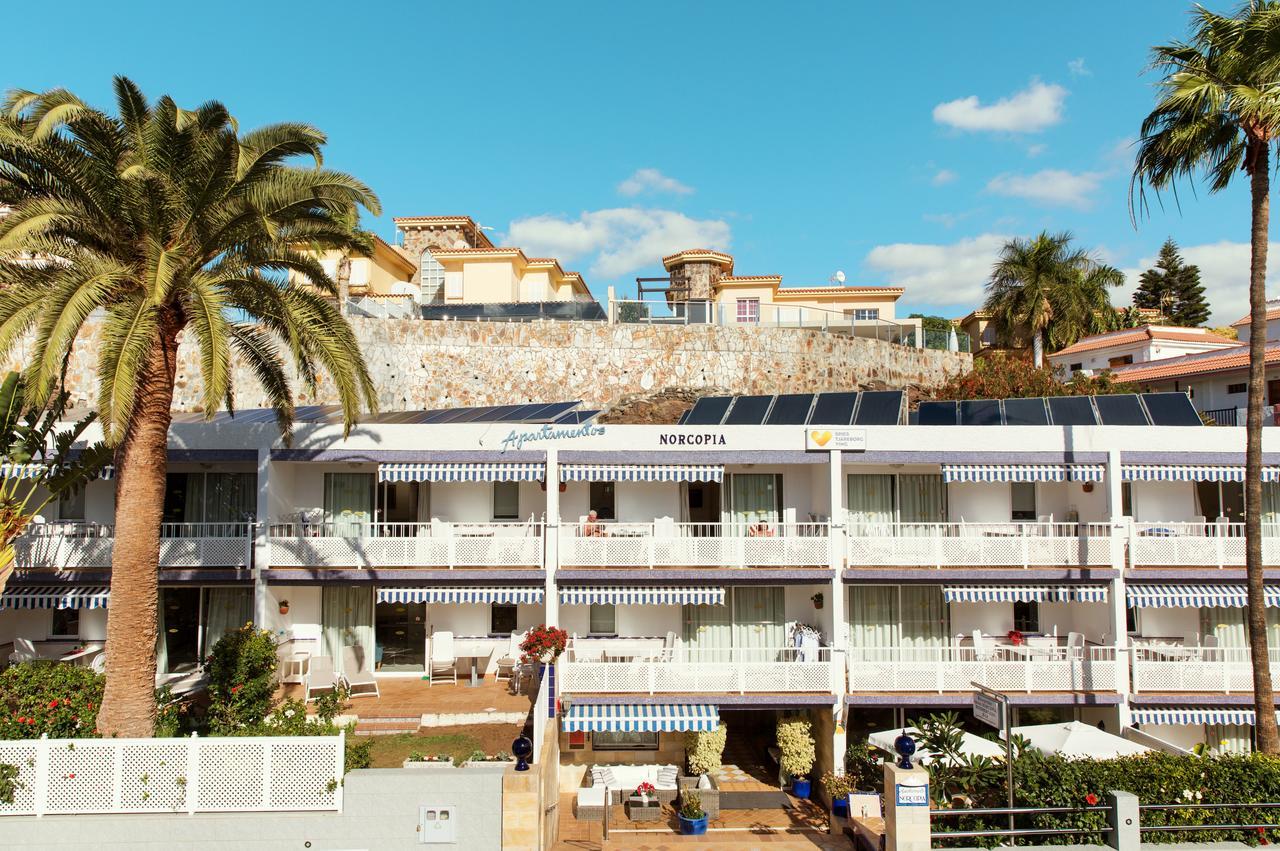 Norcopia * San Agustin (Gran Canaria)